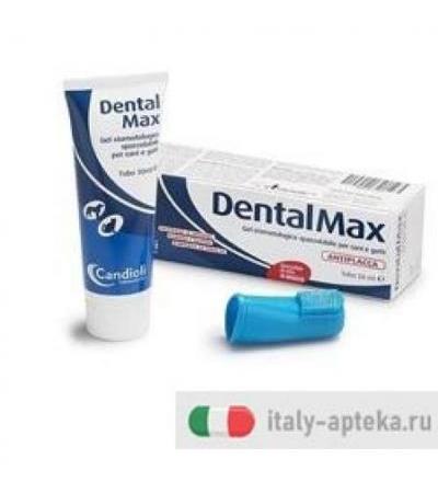 Dentalmax gel stomatologico 50 ml