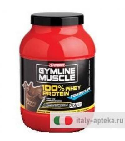 Enervit Gymline 100% Whey  Concentrate Cacao