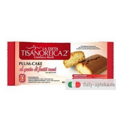 Tisanoreica Plum-Cake Frutti Rossi  45g
