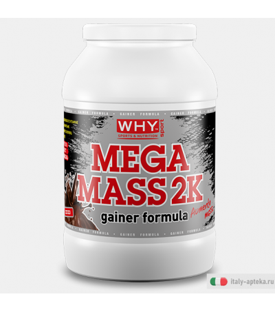 Why Mega Mass 2K Gainer Formula Cacao