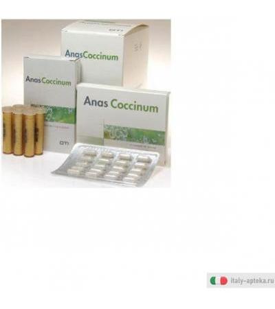 anascoccinum holis 17 prodotto utile nella stagione invernale per aiutare l&rsquo;organismo a difendersi dalle