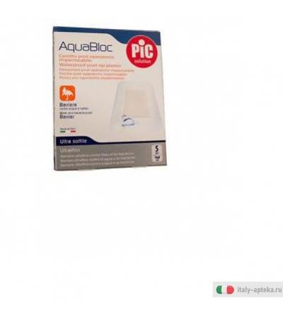 cer pic aquabloc 10x6 5pz