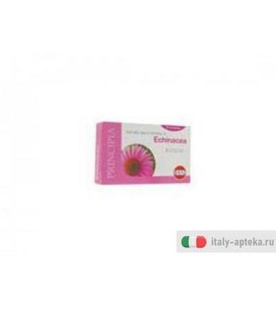 echinacea integratore alimentare a base di estratto secco di echinacea, naturali difese