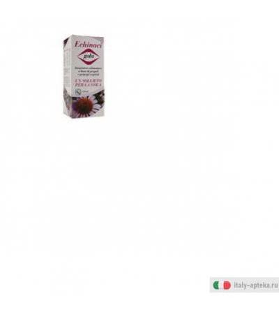 echinaci gola sciroppo naturale contenente estratto di propolis ed estratti secchi di echinacea, ribes