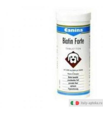 Biotin Forte Polv 100g