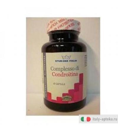 Condroitina Comp 60vegicps 48g