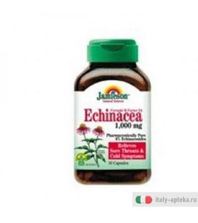 Echinacea 1000 Jamieson 30cps