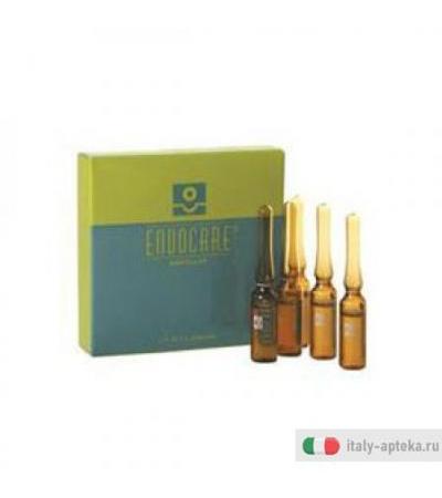 Endocare ampolle 7 fiale