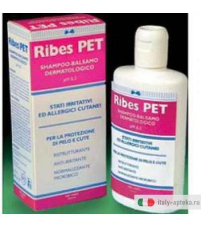 Ribes Pet Shampoo/balsamo 200m