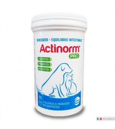 Actinorm Pro cani e gatti benessere dell'intestino 60 compresse