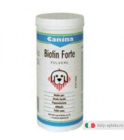 Biotin forte polvere 100 gr