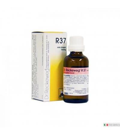 Dr. Reckeweg R37 medicinale omeopatico 22 ml