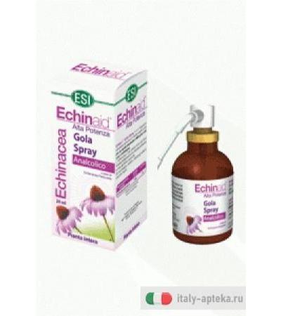 Echinaid alta potenza gola spray 20ml