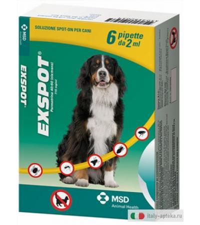 Exspot soluzione spot-on per cani da 41-55 kg 6 pipette