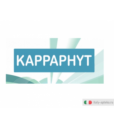 Kappaphyt 4 azione tonico-adattogena 20 bustine