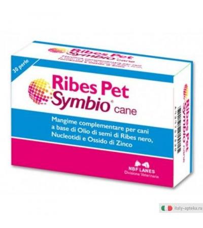 NBF Ribes Pet Symbio Cane integratore alimentare per l'intestino 30 perle