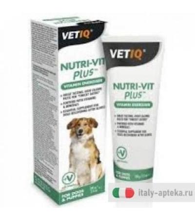 Nutri-Vit Plus Dog mangime complementare in pasta per cani ad alto contenuto energetico 100g