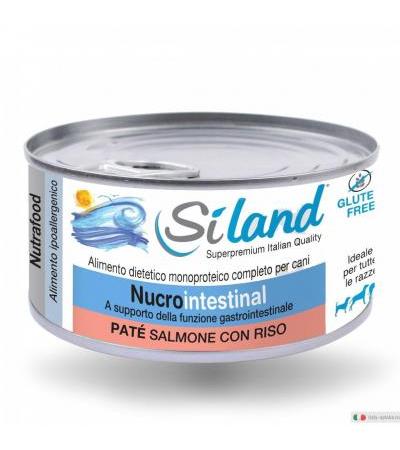 Siliand Diet Nucrointestinal alimento per gatti patè salmone con riso 155g