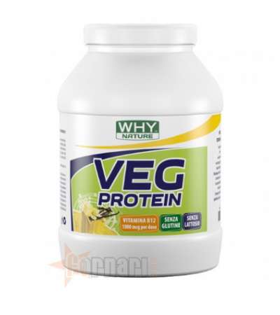 WHY NATURE VEG PROTEIN 750 GR Cacao